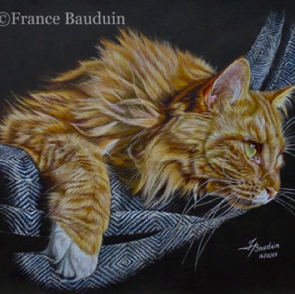 Theo redone - 26.5 hours
Black Colourful Smooth
11" x 16"
Ref.: Jo Routley